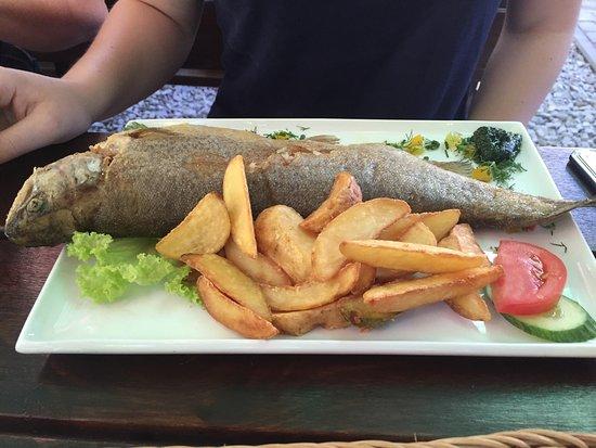 Dom Nad Rozlewiskiem